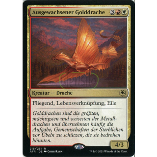 Ausgewachsener Golddrache