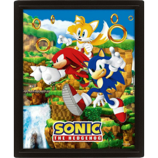 Sonic The Hedgehog 3D-Effekt Poster Catching Rings 26 x 20 cm